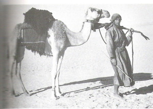 rahala