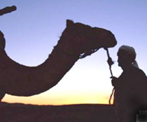 الرحلة العربية