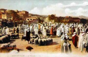 مصطفي جاد