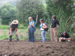 field_schools