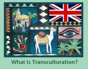 trans_cul