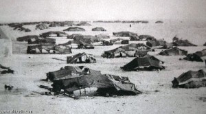 inkissamia