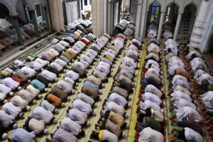 المبطخ الأنثربولوجي