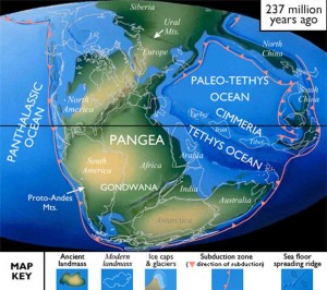 Trassic map
