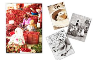 الطعام في المتوسط بين «التراتبية الاجتماعية» و«الفردانية»: مقاربات أنثروبولوجية  محمد تركي الربيعو